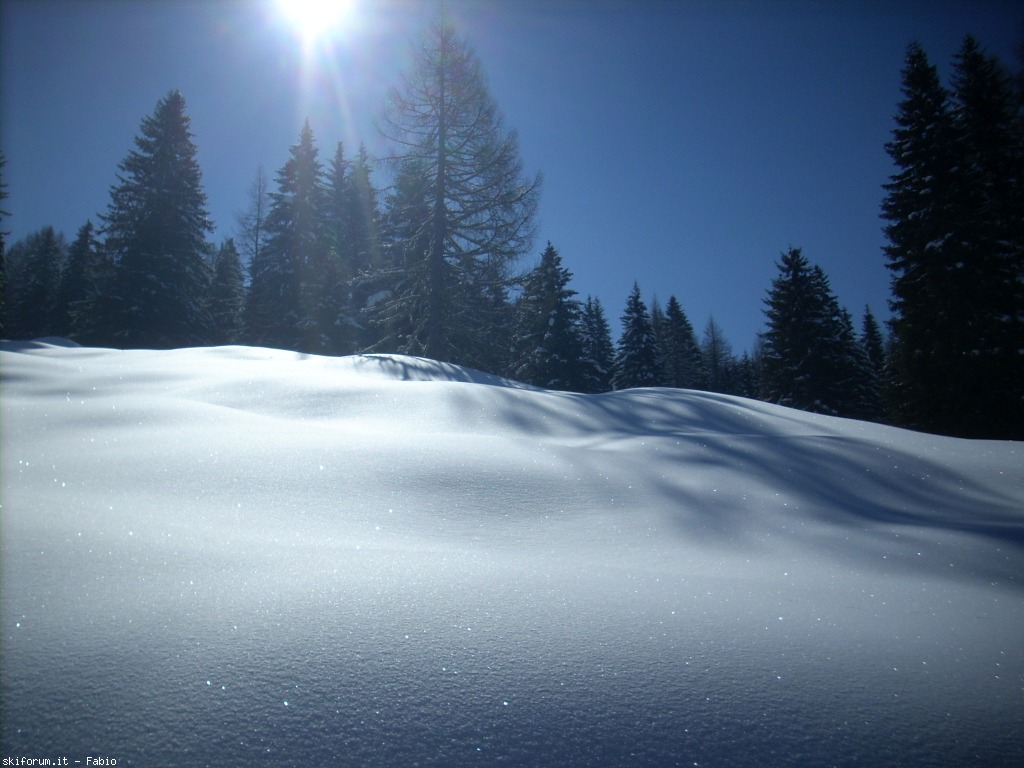 99229-carezza-ski-1-aprile-2013-dscn0146.jpg