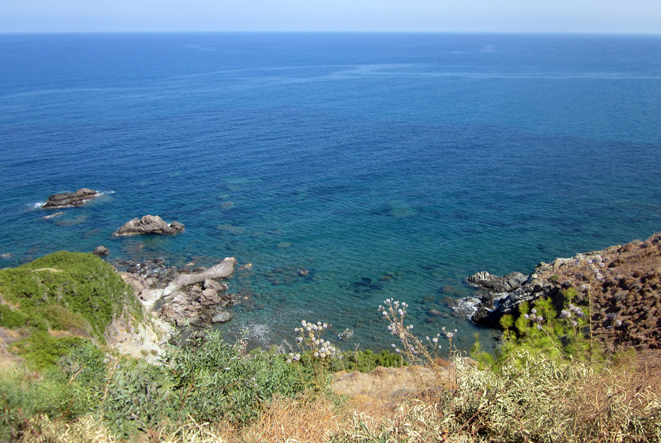 104863-nea-dimmata.jpg
