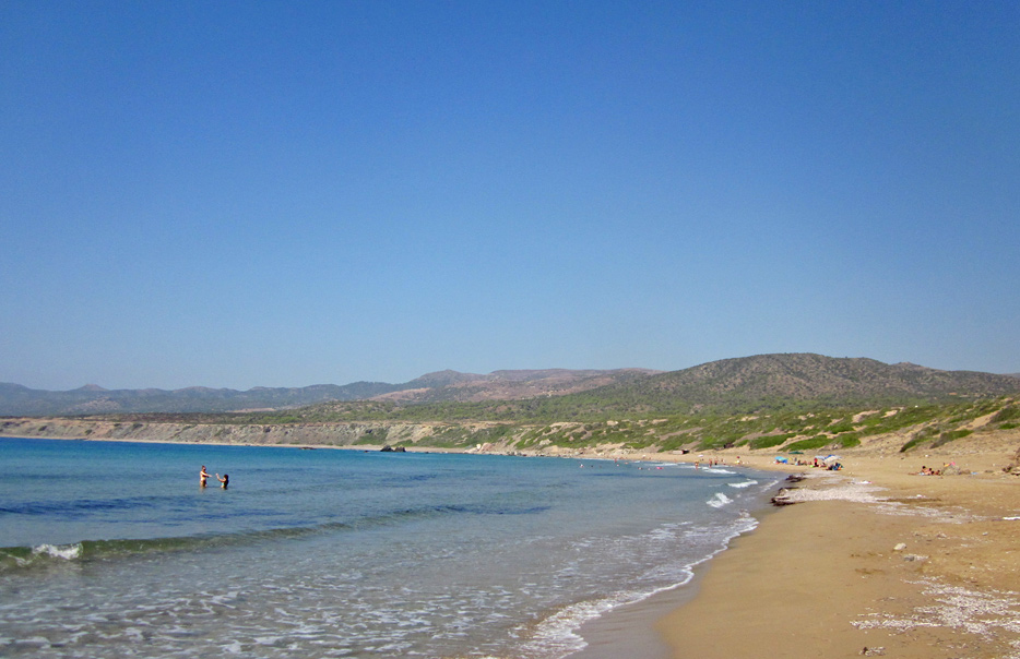 104874-turtle-lara-beach.jpg