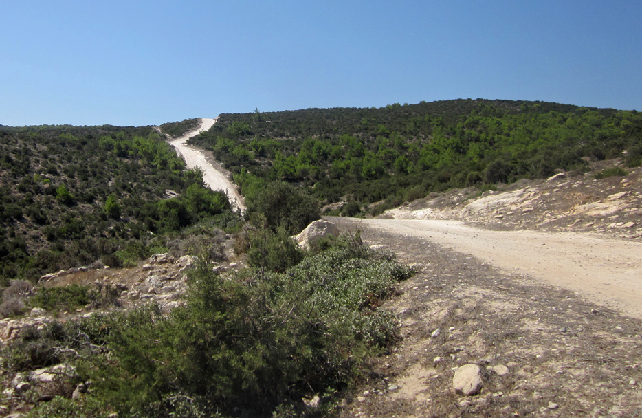 104930-la-strada-pendente.jpg