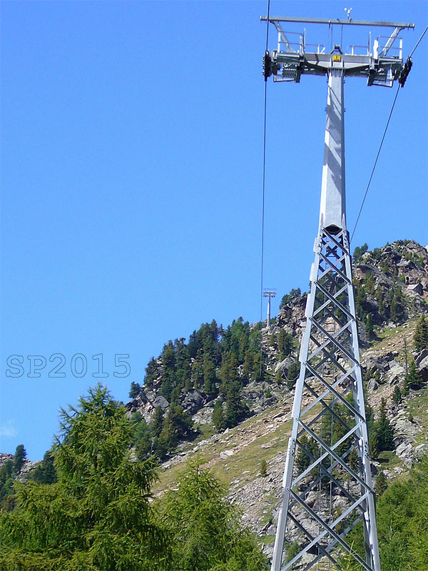142969-wlf18.jpg