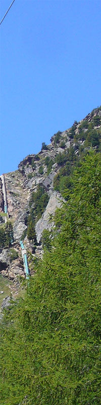 142999-wlf18bis.jpg