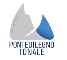181643-pontedilegno-tonale-logo-web-734825.png