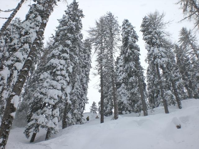 34076-san-martino-7-8-feb-2009-042.jpg