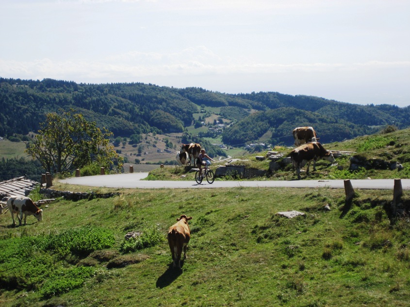 43573-img0925.jpg