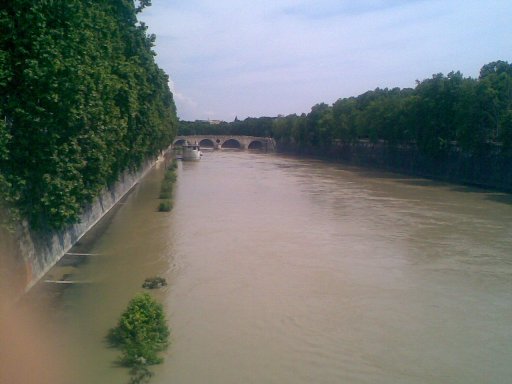 54737-tevere-deborde.jpg