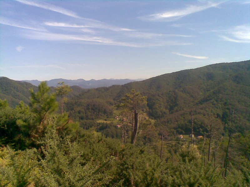 56972-monterosso-2010-3-800x600.jpg