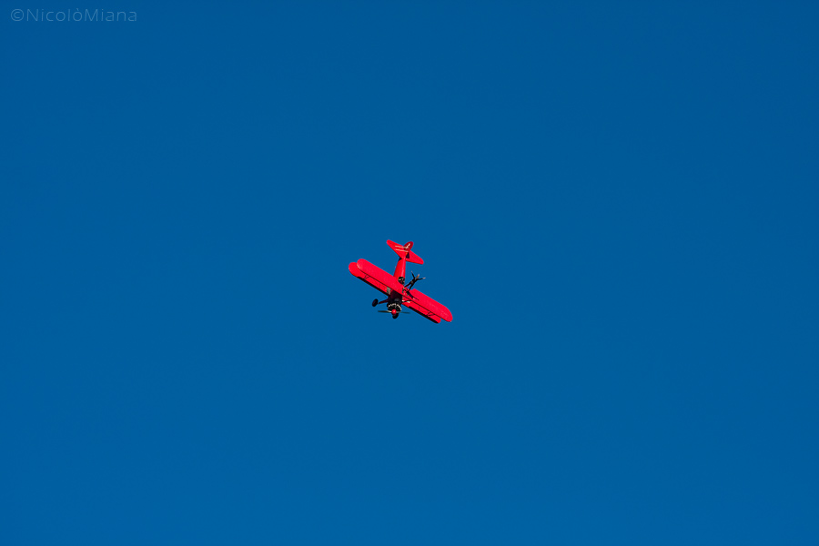 57224-img8179.jpg