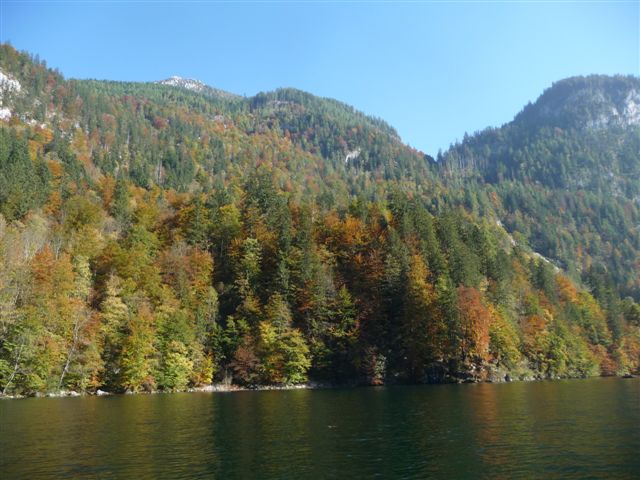 57711-p1060953.jpg