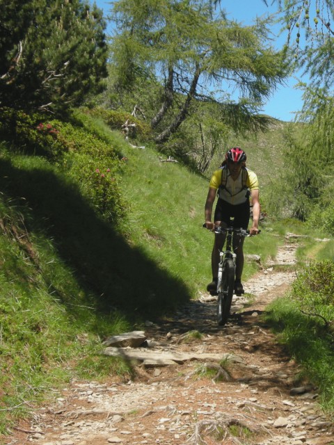 66142-dscn4096-mod-640x480.jpg