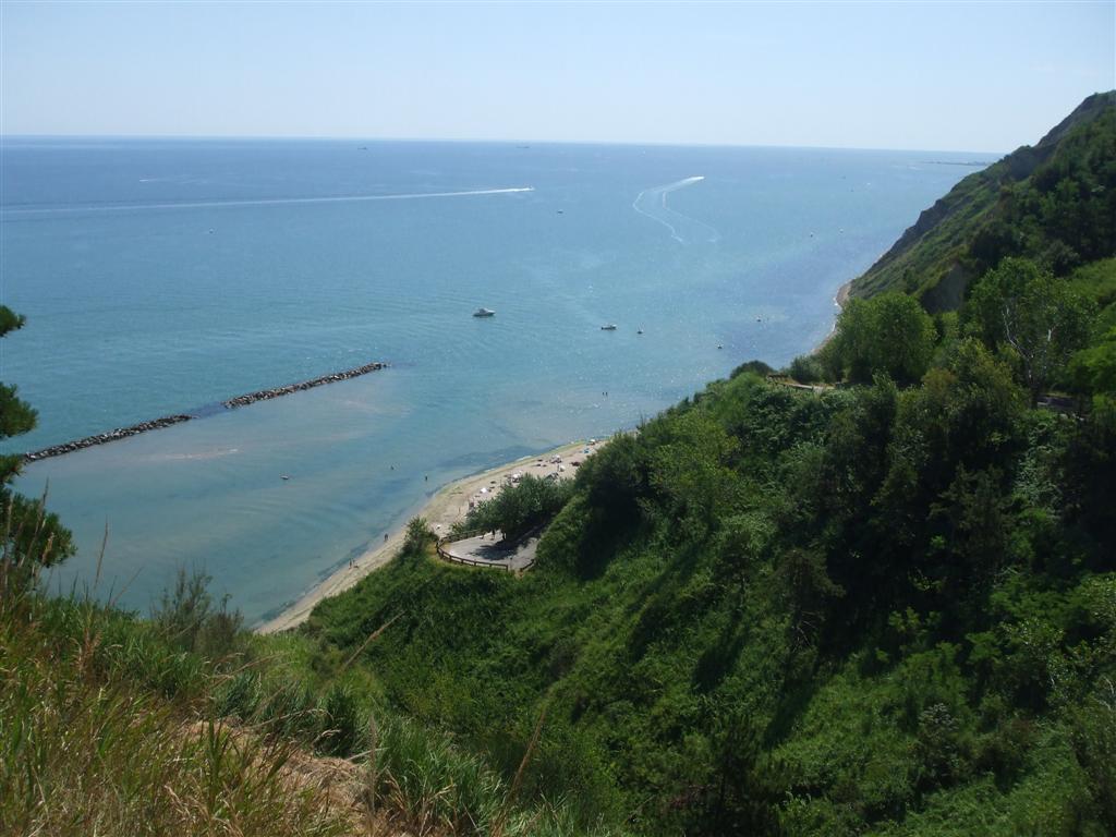 66404-foto-014-medium.jpg