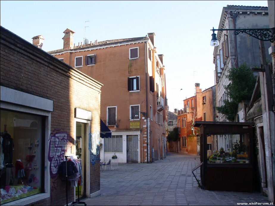 7617-arancioni-venezia.jpg