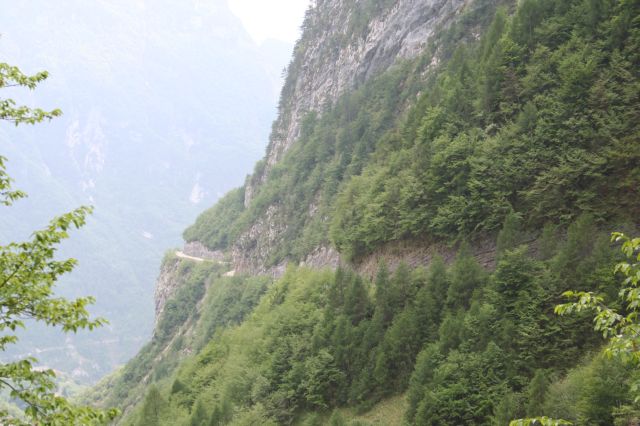 8971-img1336.jpg