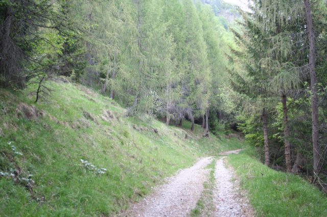 8974-img1329.jpg