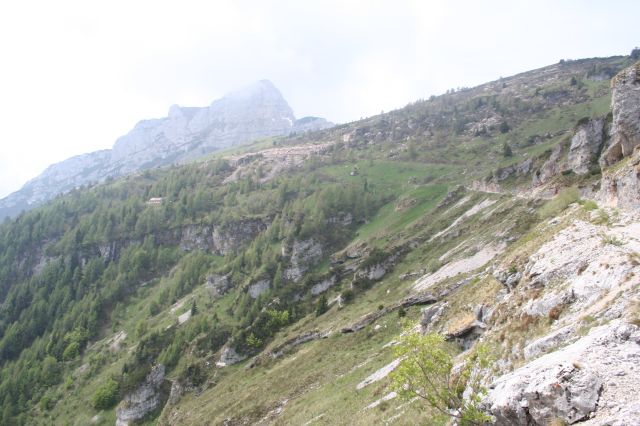 8981-img1305.jpg