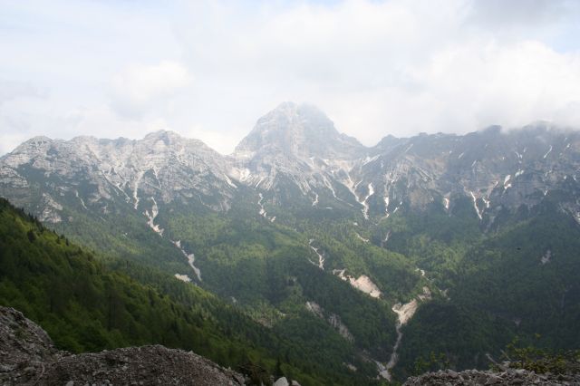 8983-img1324.jpg
