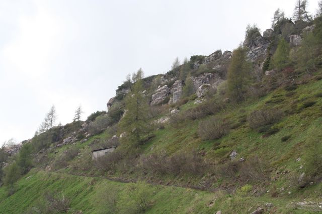 8985-img1318.jpg