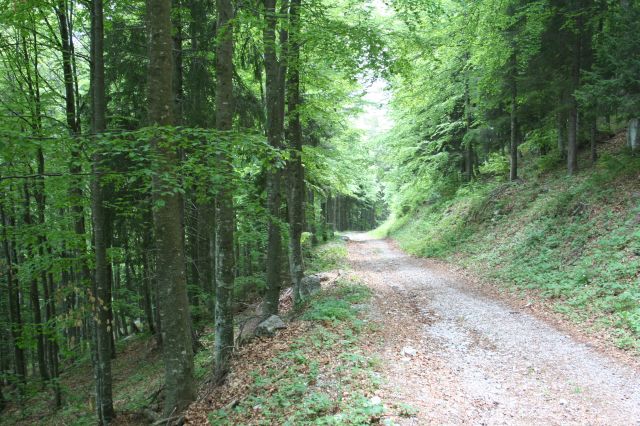 8990-img1327.jpg