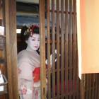 geisha geisha