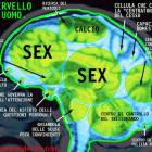 saggezza femminile
