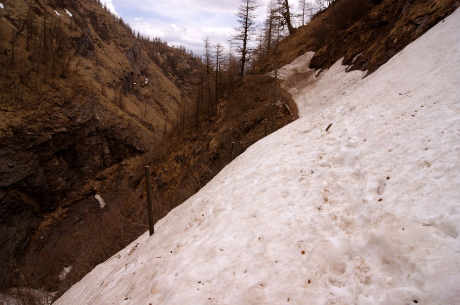 101057-dsc03825.jpg