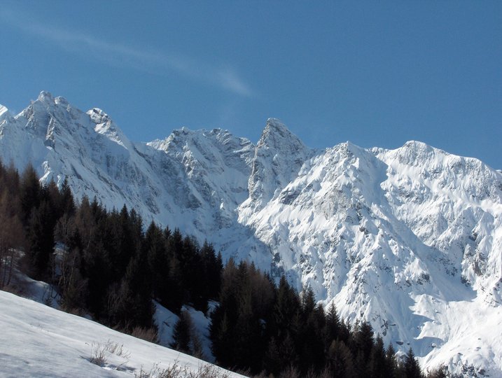 101519-wlf-selvaggio.jpg