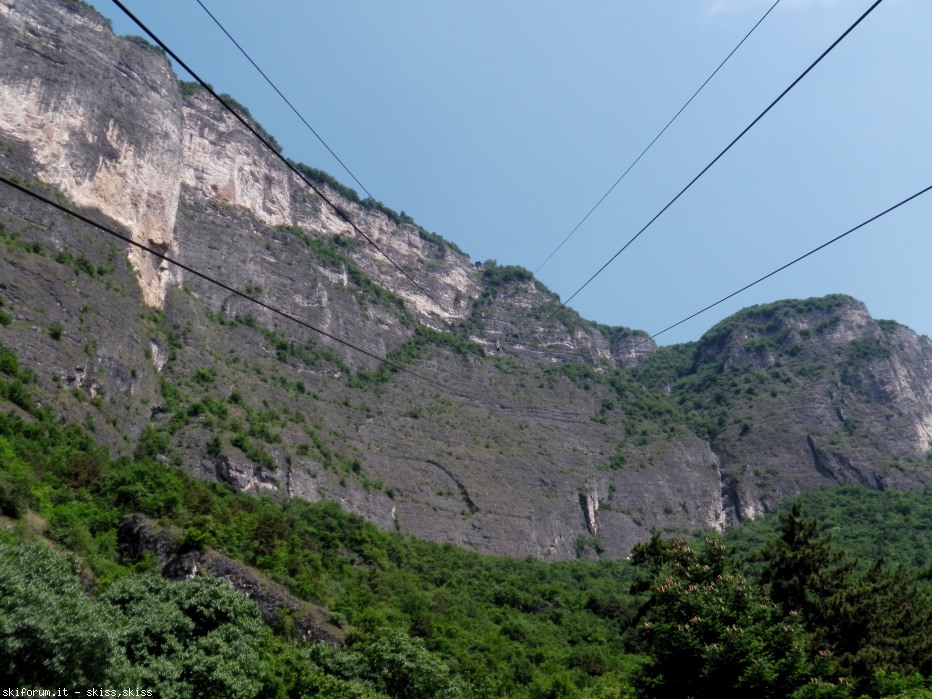 103172-imga0327.jpg