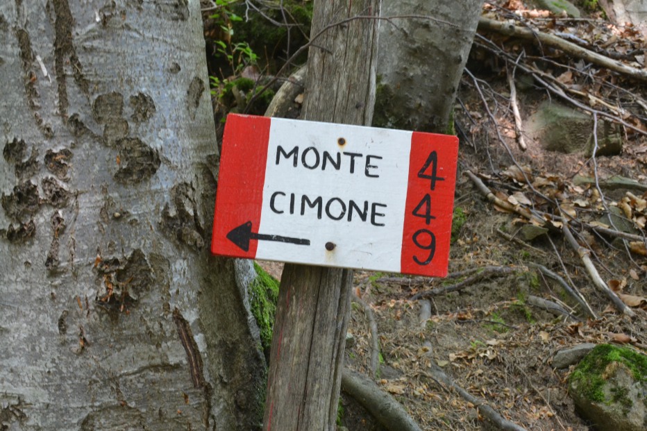 103860-monte-cimone-6-7-13-006.jpg