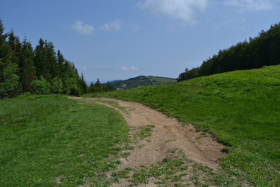 103862-monte-cimone-6-7-13-014.jpg