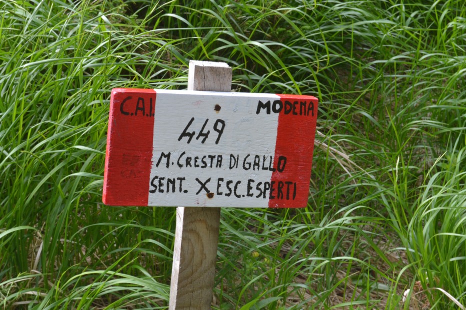103863-monte-cimone-6-7-13-019.jpg