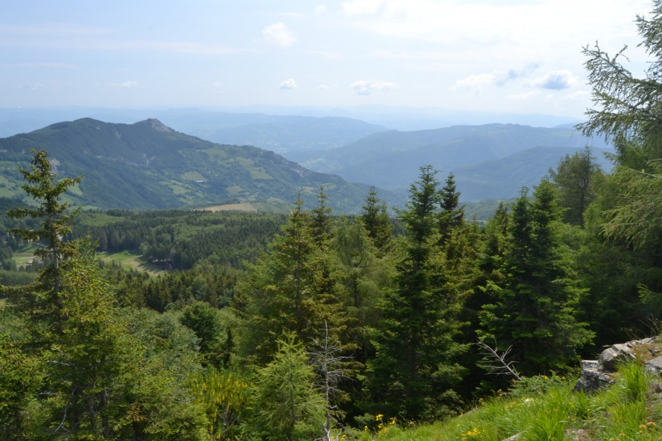 103864-monte-cimone-6-7-13-026.jpg