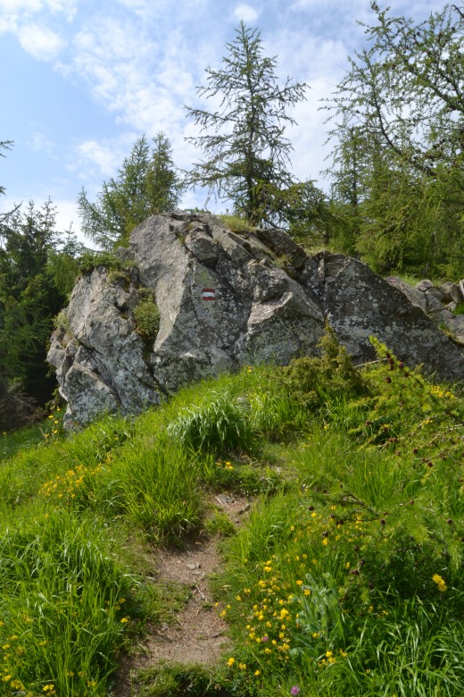 103865-monte-cimone-6-7-13-027.jpg
