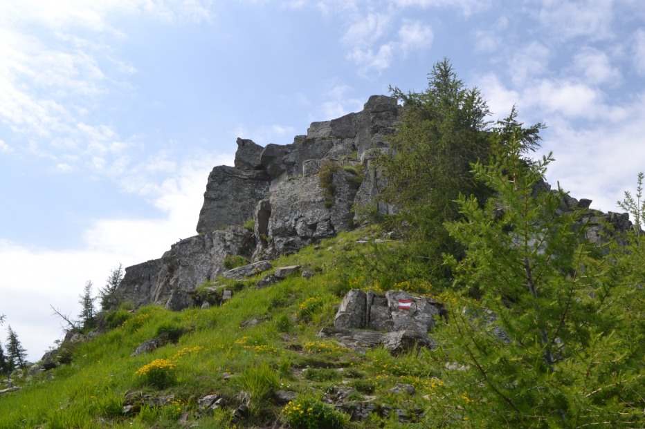 103866-monte-cimone-6-7-13-033.jpg