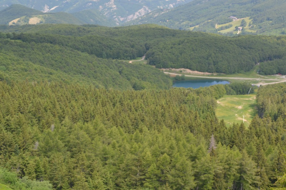 103867-monte-cimone-6-7-13-037.jpg