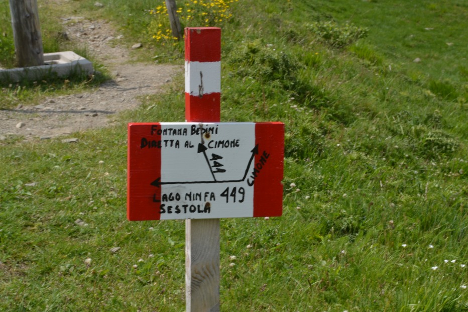 103870-monte-cimone-6-7-13-062.jpg