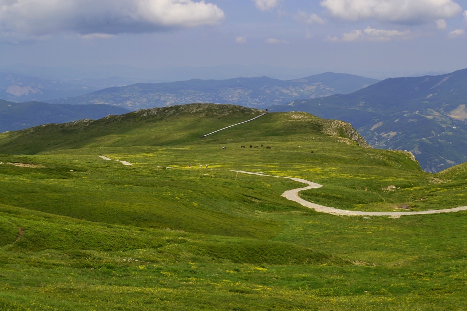 103871-monte-cimone-6-7-13-063.jpg
