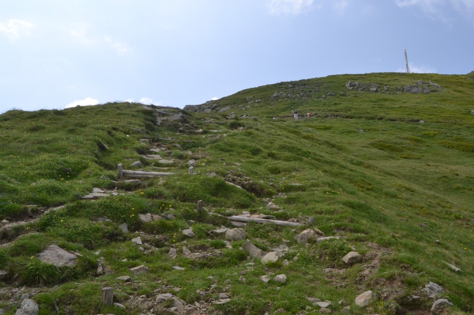 103872-monte-cimone-6-7-13-065.jpg