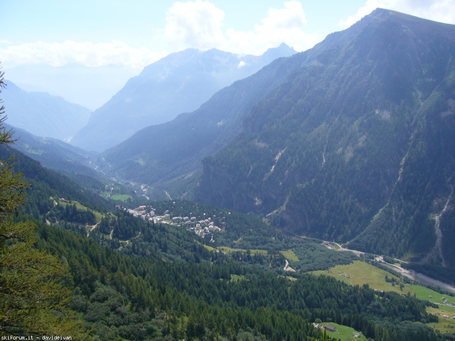 104259-sd-1.jpg