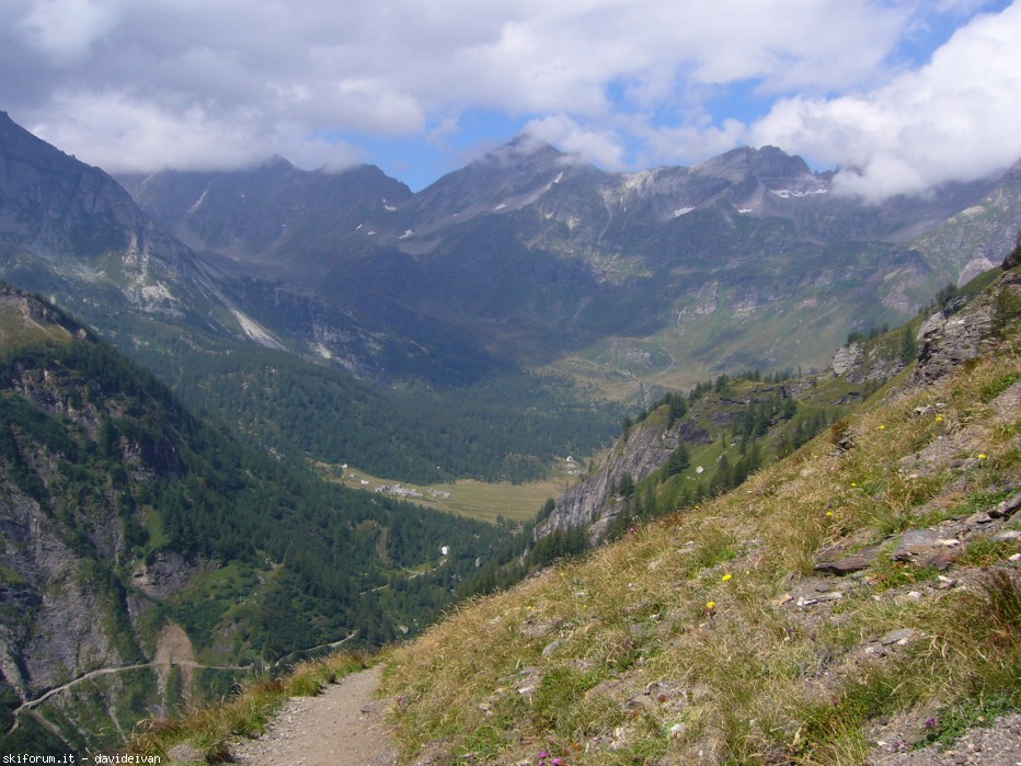 104265-sd-7.jpg