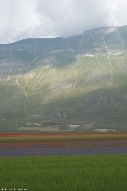 104290-1001915.jpg