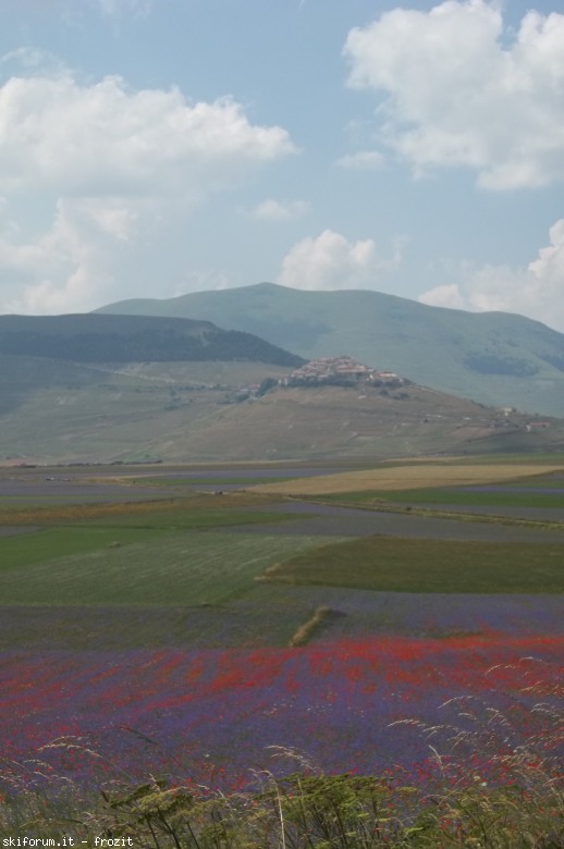104295-1001927.jpg