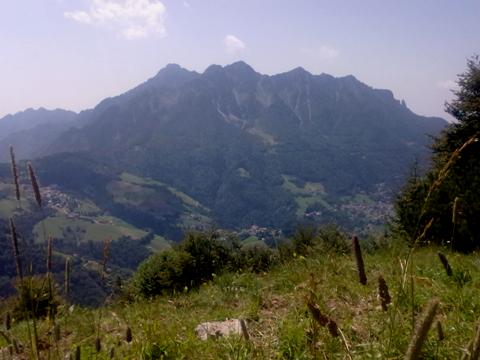 104411-3-alben.jpg
