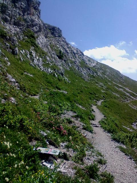 104423-sulla-via-del-rientro-sentiero-dei-fiori.jpg