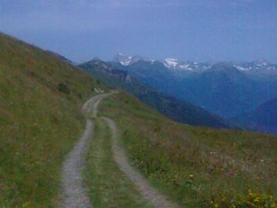 104652-adamello.jpg