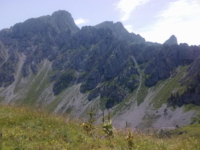 104653-lato-bresciano.jpg