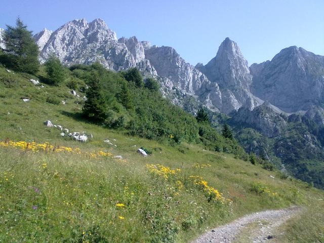 104658-paesaggio-dolomitico-1.jpg