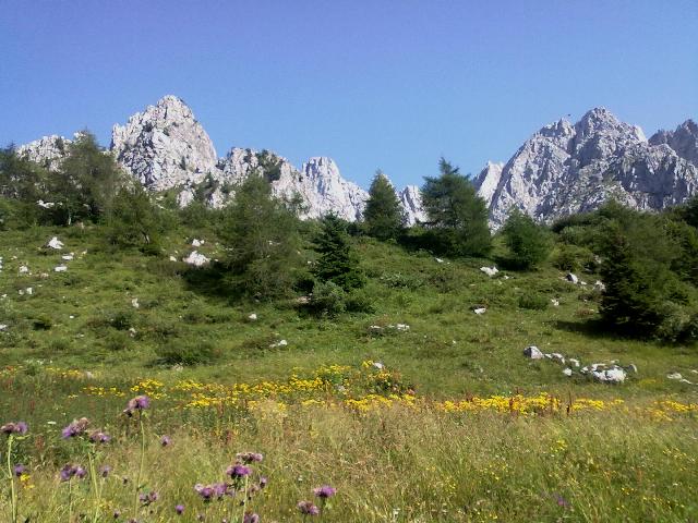 104659-paesaggio-dolomitico-2.jpg