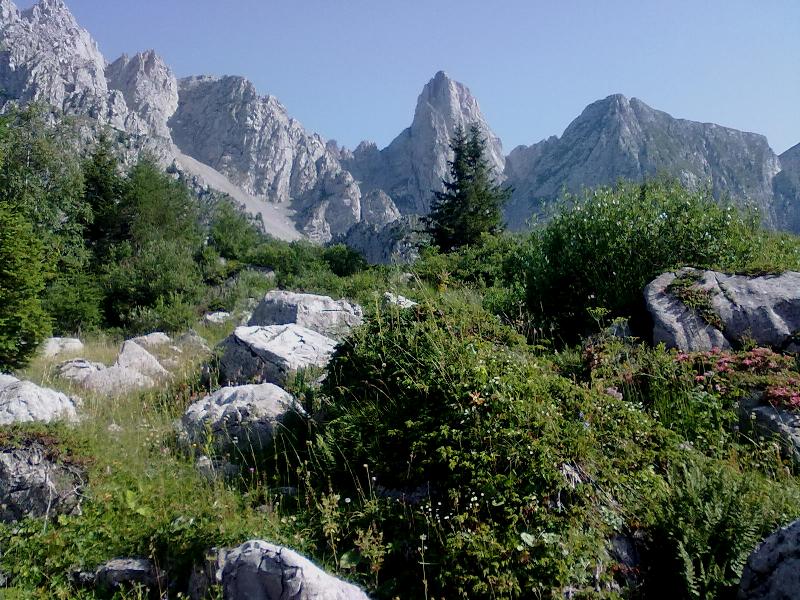 104662-paesaggio-dolomitico-5.jpg