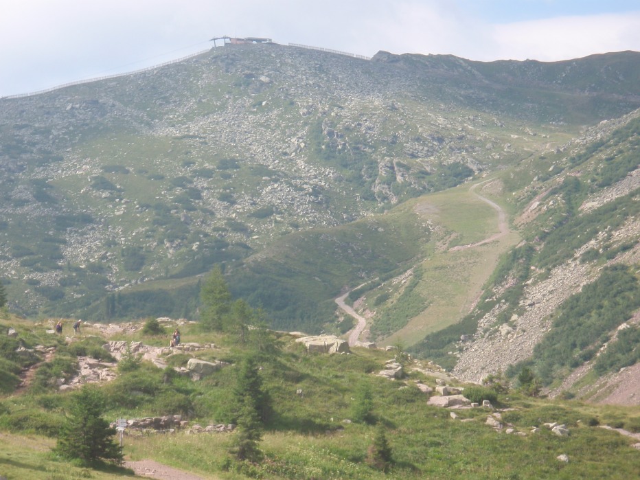 105998-p8120109.jpg