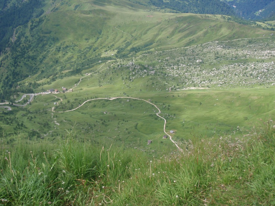 106085-p8100038.jpg